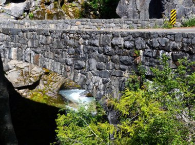 Mount Rainier Ulusal Parkı, Washington Köprüsü