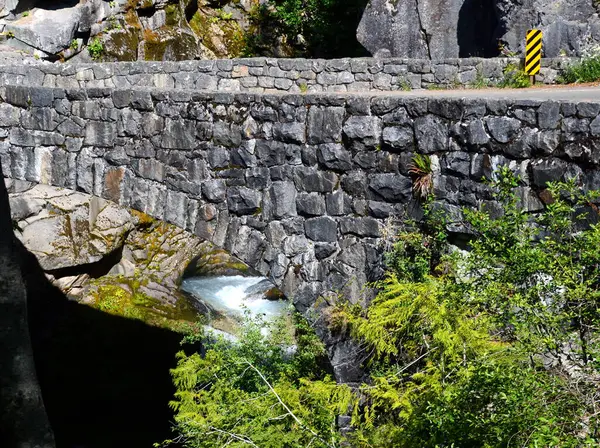 Mount Rainier Ulusal Parkı, Washington Köprüsü