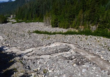 Nisqually Nehri, Mount Rainier Ulusal Parkı, Washington