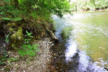 Wutachschlucht Kanyonu 'nda Kara Orman, Baden - Wuerttemberg