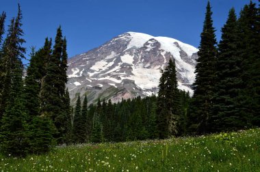 Panorama of Mount Rainier National Park, Washington