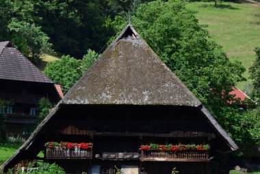 Kara Orman 'daki Tarihi Çiftlik, Gutach, Baden - Wuerttemberg
