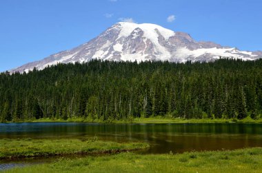 Panorama of Mount Rainier National Park, Washington