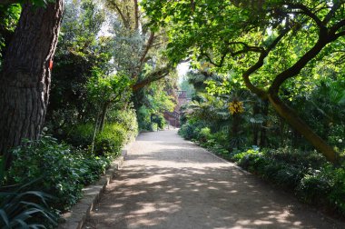 Frankfurt 'taki River Main' e park et Hesse.