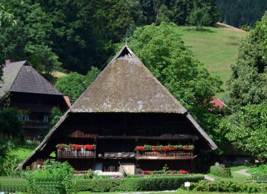 Kara Orman 'daki Tarihi Çiftlik, Gutach, Baden - Wuerttemberg