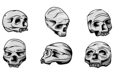 Set of skulls in different positions, color version and only lines.