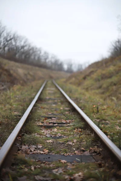 Узкоколейные Железнодорожные Пути Среди Поля Зеленой Травой Столбы Проводами — стоковое фото