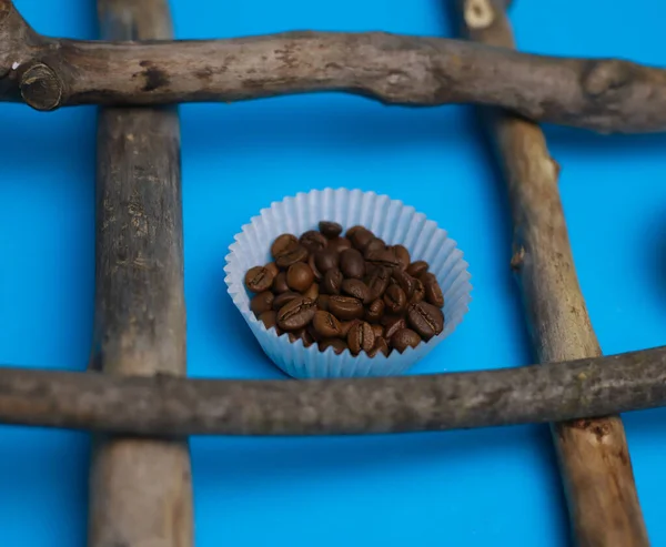 fragrant coffee beans are poured in a cupcake mold on a bright blue background, surrounded by natural textures of wooden sticks. for splash screens, labels, postcards, signs, announcement menus and more