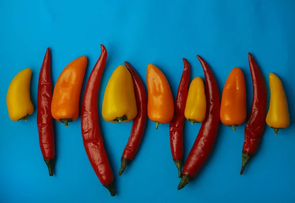 orange and yellow sweet peppers and red hot chili peppers lie in a row on a blue background. for banners screensavers stickers flyers business cards