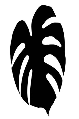 black and white illustration of monstera creeper home plant leaf
