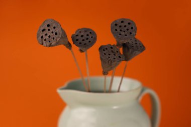 Turuncu arka planda yumuşak yeşil bir vazoda kurumuş nilüfer çiçeği. Etiketler, ekran koruyucular, kartpostallar, peçeteler, posterler için.