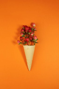 Egzotik, eşsiz, pembe ve kırmızı hiperikum çiçekli dondurmalı waffle külahı. Reklam ekran koruyucuları için etiketler, posterler ve daha fazlası için.