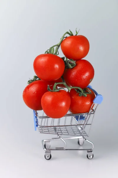 Tomates Fraîches Juteuses Rouges Saines Provenant Uniquement Jardin Sur Une — Photo