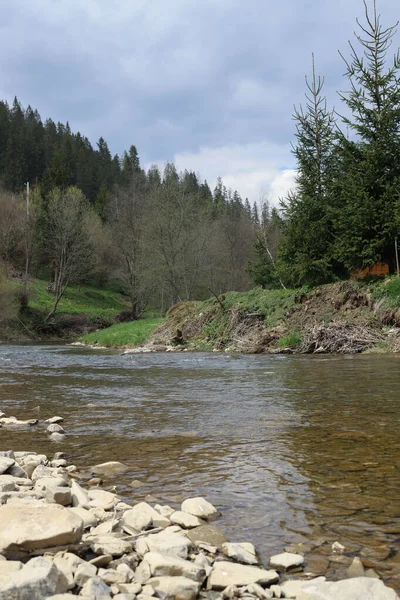 Gebirgsfluss Flachwasser Und Den Ufern Von Grauen Steinen Wald Und — Stockfoto