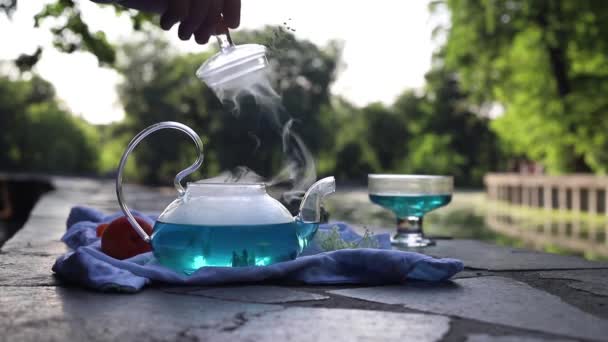 Azul Ancla Una Tetera Transparente Picnic Verano Parque Junto Tetera — Vídeos de Stock