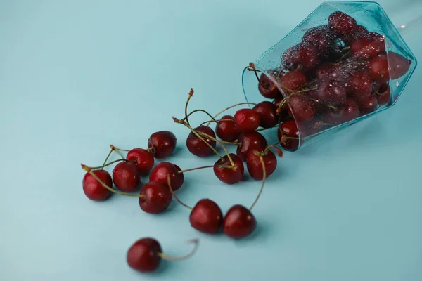 Mavi bir arka planda mavi bir kasede kırmızı-bordo renkli taze kirazlar. Broşürler, etiketler, sıçrama ekranları ve daha fazlası için