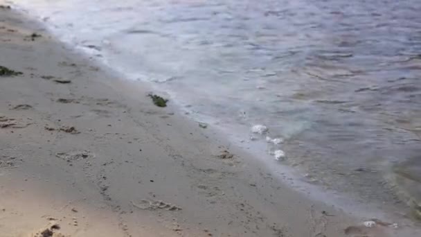Ходити Вздовж Берега Річки Жіночі Ноги Йдуть Краю Води Білій — стокове відео