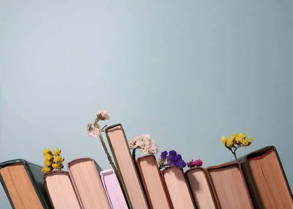Mavi arka planda, farklı kalınlıktaki birçok kitap bir sırada duruyor ve küçük kurumuş çiçekler..