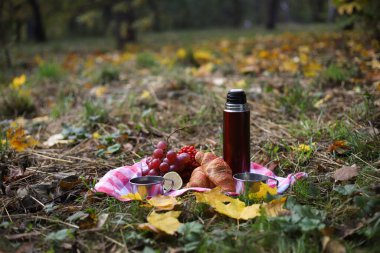 Sonbahar pikniği. Kırmızı bir piknik paspasında kırmızı bir termos, iki teneke bardak çay, üzüm, kırmızı sağlıklı viburyum, limon ve iki kruvasan var. Etrafında sonbahar yaprakları ve ağaçlar