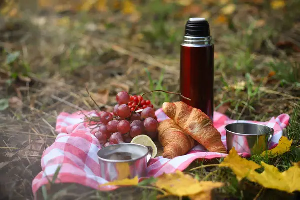 autumn picnic. on a red picnic mat there is a red thermos, two tin mugs with tea, grapes, red healthy viburnum, lemon and two croissants. autumn leaves and trees around