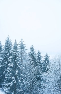 Sisin içinde kış dağı manzarası. Karda bir sürü Noel ağacı ve bunların arasında köy evleri.
