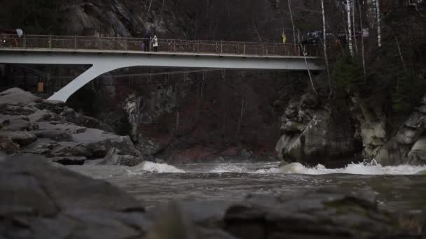 Río Montaña Flanqueado Por Una Costa Rocosa Con Abetos Fondo — Vídeos de Stock
