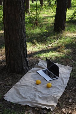 Doğada ve seyahatteyken çevrimiçi çalış ve çalış. Ormanda bir piknik paspasında beyaz bir laptop..