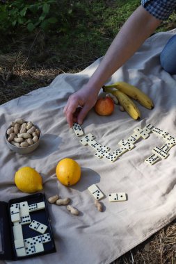 Piknikte domino oyunu. Boş zaman. Piknik paspasının üzerinde domino taşları, elmalar, su ve muzlar var..