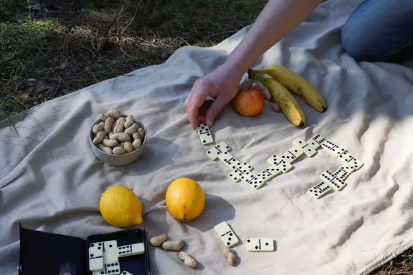 Piknikte domino oyunu. Boş zaman. Piknik paspasının üzerinde domino taşları, elmalar, su ve muzlar var..