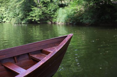 Yeşil arka planda turuncu-kırmızı kamp çiçeği