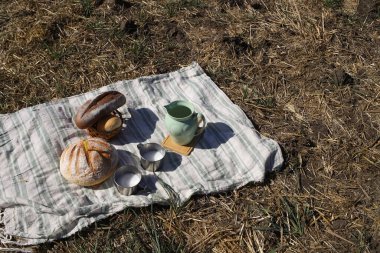 Dünya ekmeği günü. Tarlada battaniyenin üzerinde farklı türde ekmek, bir sürahi süt ve kupalar vardır.