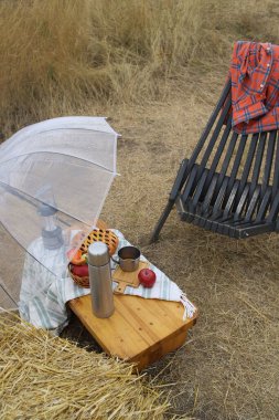 Sonbahar pikniği. Bir yağmur şemsiyesinin altında ahşap bir masanın üzerinde bir termos, kupalar ve bir turta var. Yakınlarda saman ve tahta bir sandalye var.