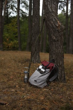 Turizm. Turist grisi ve bordo sırt çantası, metal kupalar ve termos, ormanda pusulası olan fener.