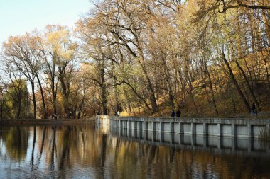 Sonbahar Parkı. Etrafı yapraklarla çevrili, gölü olan bir park.