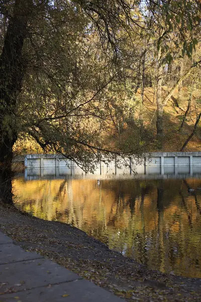 Sonbahar Parkı. Etrafı yapraklarla çevrili, gölü olan bir park.