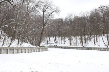 Winter City Parkı. Karla kaplı ağaçlar ve donmuş bir gölet.