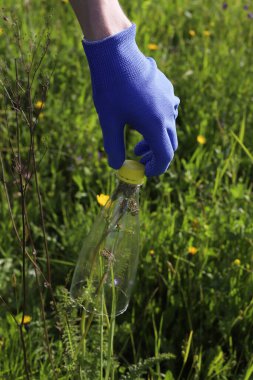 Çöp ve plastik. Doğadaki çimlerde çöp ve plastik şişeleri temizlemek. Mavi iş eldivenli birinin elleri mor bir çöp torbasında plastik şişe topluyor.