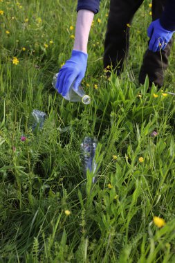 Çöp ve plastik. Doğadaki çimlerde çöp ve plastik şişeleri temizlemek. Mavi iş eldivenli birinin elleri mor bir çöp torbasında plastik şişe topluyor.