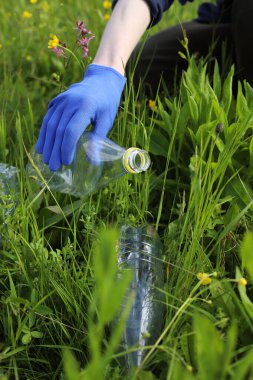 Çöp ve plastik. Doğadaki çimlerde çöp ve plastik şişeleri temizlemek. Mavi iş eldivenli birinin elleri mor bir çöp torbasında plastik şişe topluyor.