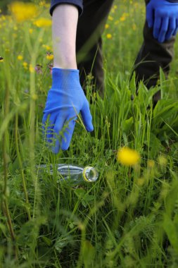 Çöp ve plastik. Doğadaki çimlerde çöp ve plastik şişeleri temizlemek. Mavi iş eldivenli birinin elleri mor bir çöp torbasında plastik şişe topluyor.