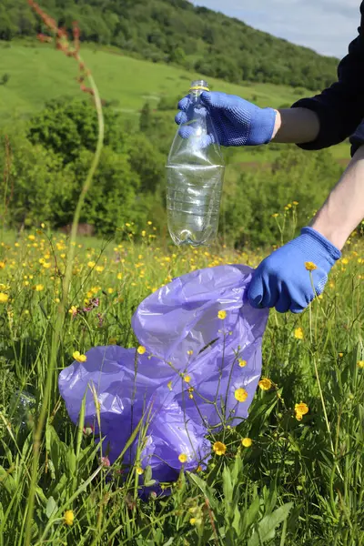 Çöp ve plastik. Doğadaki çimlerde çöp ve plastik şişeleri temizlemek. Mavi iş eldivenli birinin elleri mor bir çöp torbasında plastik şişe topluyor.