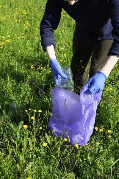 Çöp ve plastik. Doğadaki çimlerde çöp ve plastik şişeleri temizlemek. Mavi iş eldivenli birinin elleri mor bir çöp torbasında plastik şişe topluyor.