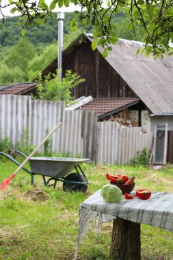 Köydeki bir masada lahana, havuç, domates, salatalık, biber gibi taze sebzeler. Arka planda köy manzarası ve bir bahçe el arabası var.