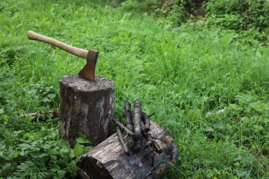 Odun kes. Balta, avludaki tahta bir blokta duruyor.
