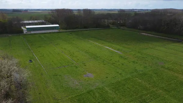 Yeşil tarlalarda bir dronun görüntüsü