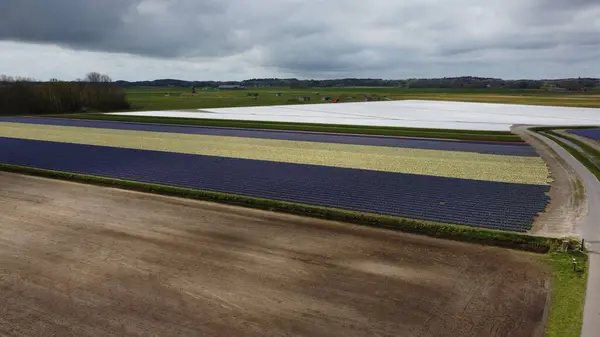 Kırsal manzarası çok güzel.