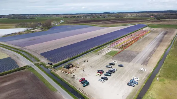 Hollanda 'daki bir çiftliğin insansız hava aracı görüntüsü