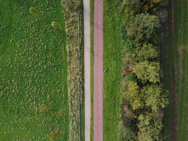 Yol ve yeşil çimlerin havadan görünüşü