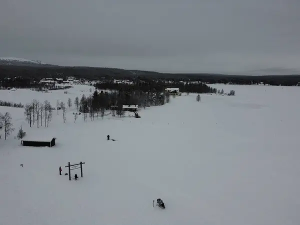 Finlandiya 'da kış ormanı