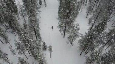 Karlı kış ormanlarının hava manzarası